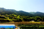 麒麟5.jpg