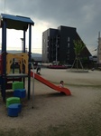 IMG_8127.jpg